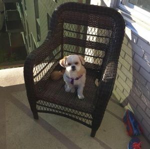 Meet your Posher, Donna